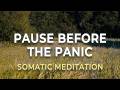 Somatic Anxiety Reset | Calm the Fear in a Few Minutes