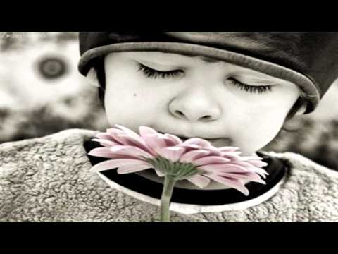 Los Golpes  -  La Pobre Mía