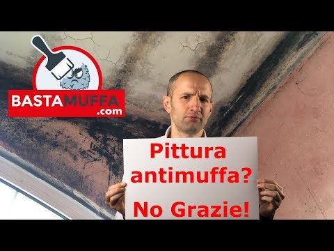 Compagni simpatici con lentiggini Meno canzoni se lentiggini di sorriso