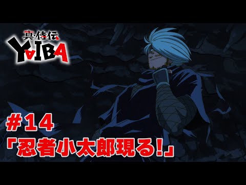 14