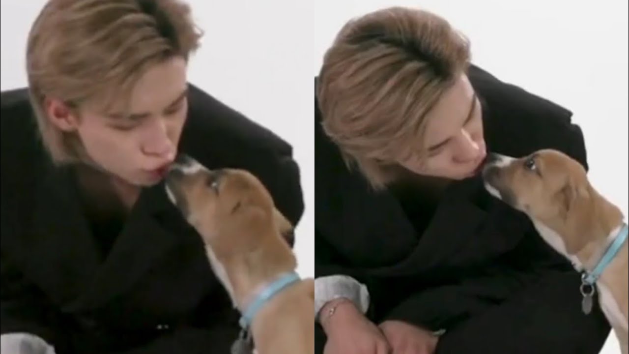 Hyunjin lip-kissing another dog