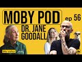 Dr Jane Goodall