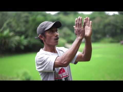 Turismo Tana Toraja: visitas guiadas por Natsir da Natsir's Nature School