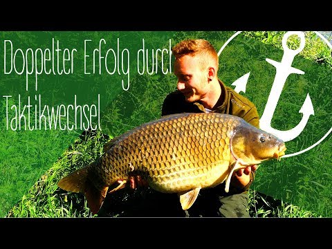 KARPFENANGELN AM KANAL || Unterschätzte Gewässer || Canal carp fishing - Subtitles