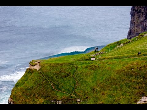 Local Style - Surf Ireland