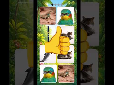 CubbyLearn Animal Explorer video thumbnail