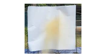 動画のサムネイル