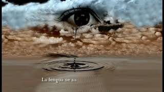 Me arañaste el alma