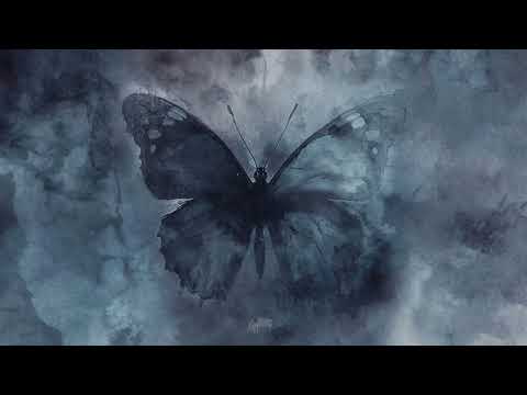 Andrea Vanzo - The Butterfly (Official Visualizer)