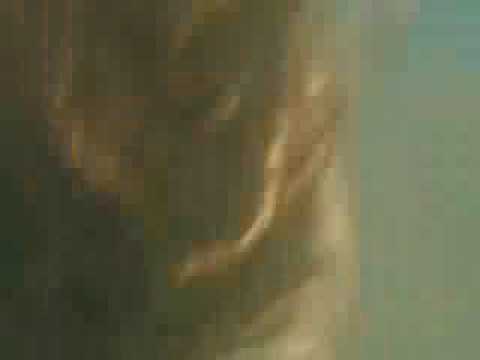 Shark!! The original advert for "Articulate" (board game)