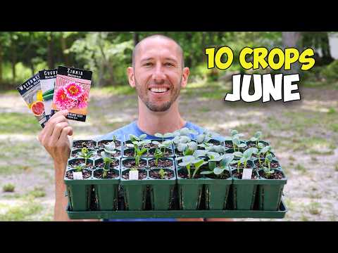 10 Crops You'd Be Foolish Not to Plant in June