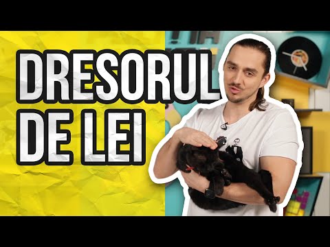 Politia Muzicii: N&D - VINO LA MINE