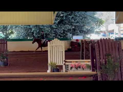 CHERRYBROOK DIANA video 4