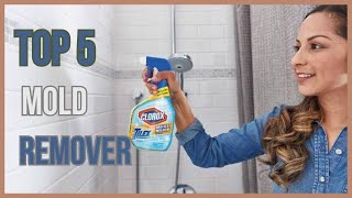 Best mold remover.