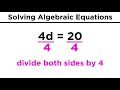 Algebraic Equations and Their Solutions
