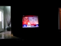 This News Reporter Sounds Like A Female Kermit