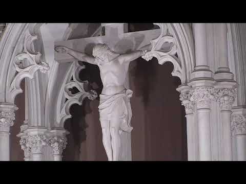 2021 Novena Day 1: "The Life of Xavier"