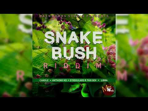 D' Regulars ft Taxi Boi - Just Ah Vibes  {Soca 2018}{Carriacou} Snake Bush Riddim