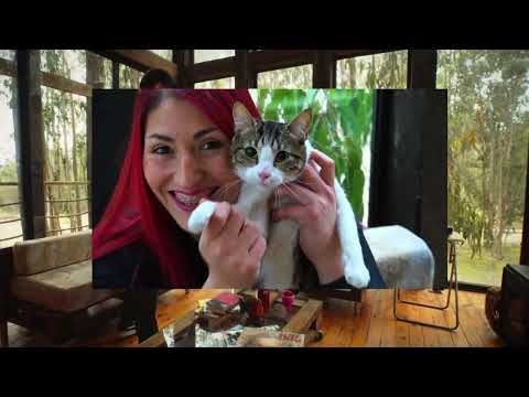 Michu MC - En Paz (Video Oficial)