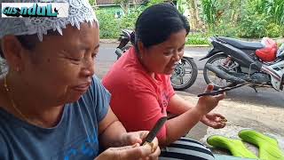 Download lagu tips masak kerang(kijing air tawar)agar tidak keracunan#gus ndul mp3 Download lagu tips masak kerang(kijing air tawar)agar tidak keracunan#gus ndul mp3
