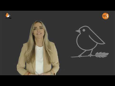 Dit is waarom niemand je nieuwsbrief opent