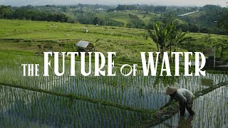 Amazon Future Forward: The Future of Water