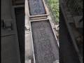 Why China Stomps on Coal Trains