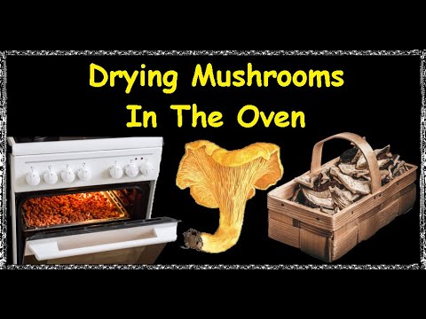 Drying Mushrooms In The Oven / Book of recipes / Bon Appetit