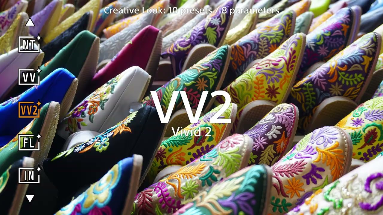 Sony Alpha ZV-E10 II (tělo)