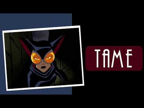 This Catwoman Played It Safe | The Batman (2004)