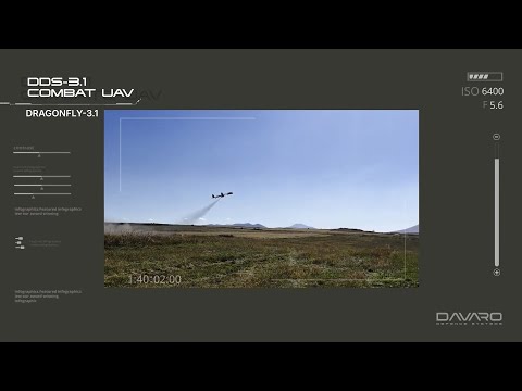 «DDS-3.1» մարտական ԱԹՍ (պարեկող զինամթերք)