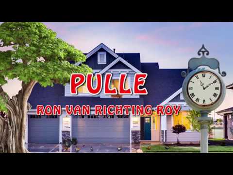 Pulle  - Ron van richting Roy