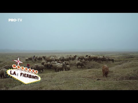 Las Fierbinti - Ardiles, ciobanul (Episod Special de Craciun)