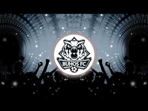 Avicii tribute - All around #Freecopyright 2020