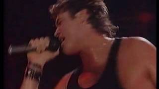 David Hasselhoff - I Wanna Move To The Beat Of Your Heart (Live In Germany 1990)