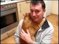 Кот обнимает хозяина 