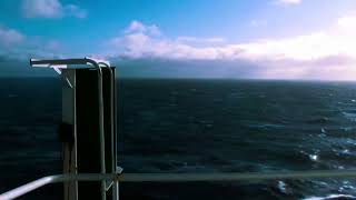 Trembling Blue Stars  - Say Goodbye To The Sea