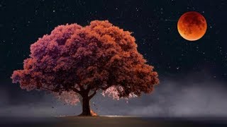 Guided Sleep Meditation, Clear The Mind of Negativity, Relieve Stress Before Sleep