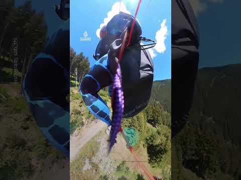 Paraglider survives mid-air collision with plane over Austria