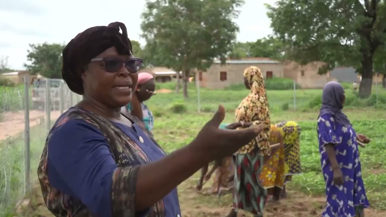 ZOOM SUR LES ACTIVITES AGRICOLES DU PERIMETRE AMENAGE OFFERT AUX FEMMES DU DJÔRÔ