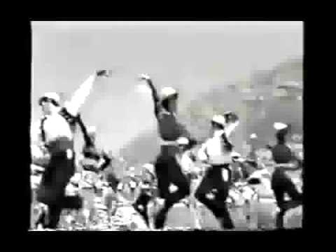 Tommy Trash vs The Only vs Green Velvet (Mickey Fortune Remix)