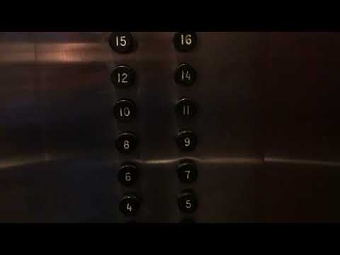 24 FLOOR Vintage Westinghouse Traction Elevators (Black Button/Triangle Button Fixtures)!!!!!