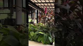 Our beautiful stay at Krabi,Thailand-Deewana Plaza-Hotel Tour #krabi #hotel #kra