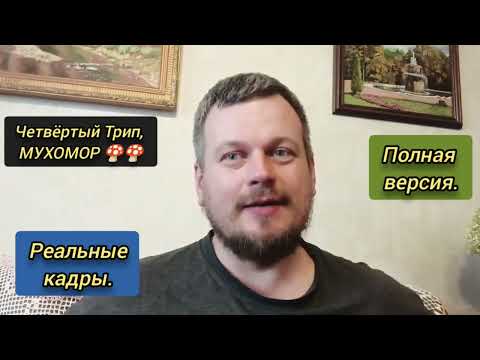 Четвёртый мой Трип, МУХОМОР. Реальные кадры. Полная версия. #пробуждение #мухомор #бог #трип #боги