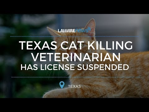 Texas Cat Killing Veterinarian Has License Suspended | Law Wire News | December 2016