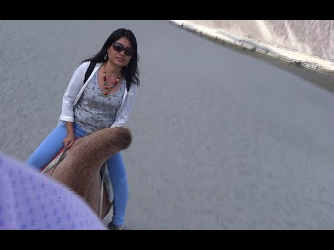 Hunder Sarai Camel Ride