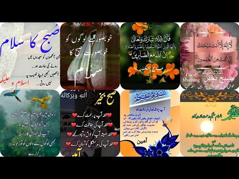 Good morning Wishes in urdu| dua quote's| subha bakhair wishes with dua|Assalam o alikum