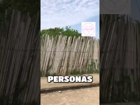 San José de doña Ana corregimiento de galeras sucre Colombia #pueblitos .