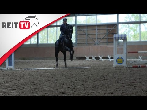 REITTV-Tipps: Der Galoppwechsel