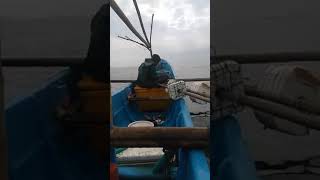 preview picture of video 'Indonesia berburu bawal putih pesisir laut Selatan pulau jawa'